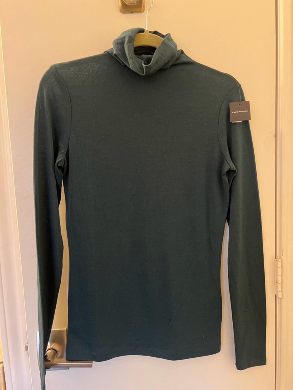 Club Monaco Men’s Forest Green Turtleneck Sweater